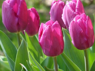 0_d7b0_6ac6626_XL - copia