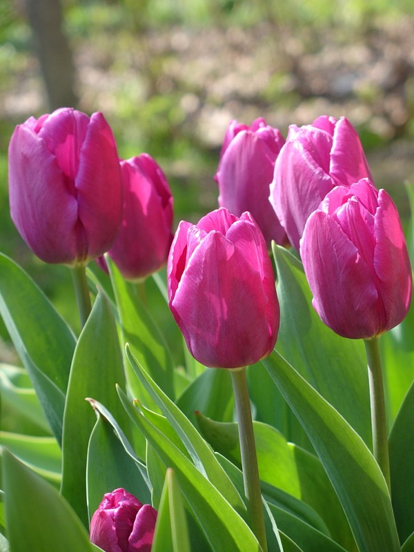 0_d7b0_6ac6626_xl-copia