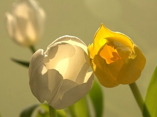 0_e7fc_8e713db8_-1-XL