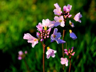 0bc641aadde13d24f946485f203726a7