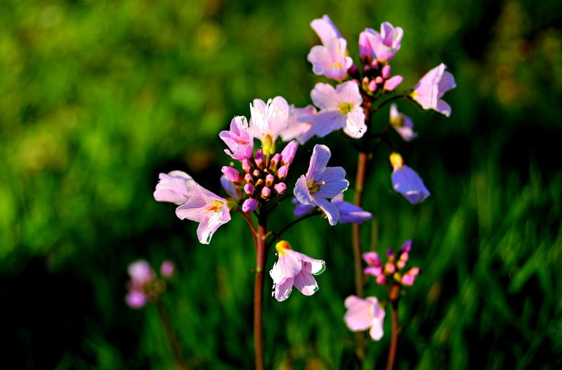 0bc641aadde13d24f946485f203726a7