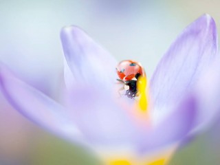 1009595_394218764017796_1416793274_o - copia