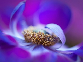 1014709_481161795323492_594772557_o - copia