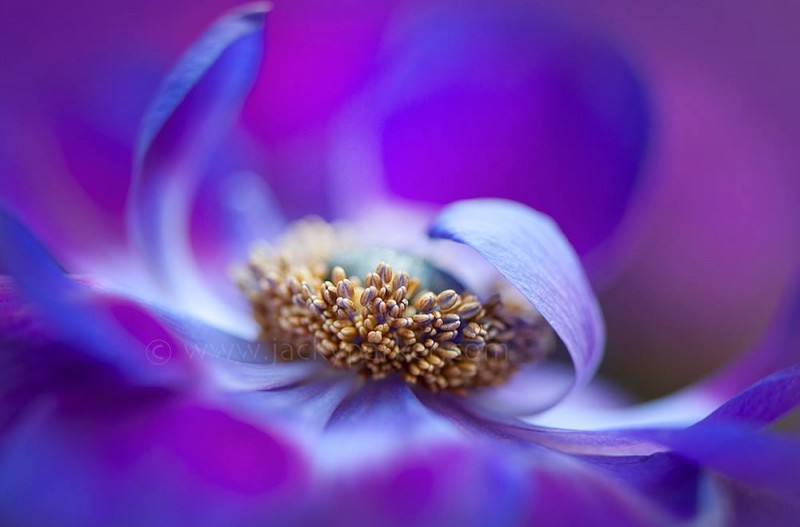 1014709_481161795323492_594772557_o-copia