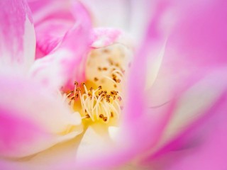 1048303_400652093374463_2144018422_o - copia