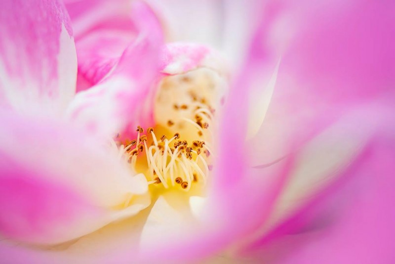 1048303_400652093374463_2144018422_o-copia