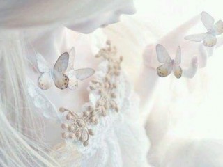 11273711_842351949185771_1482783554_n - copia