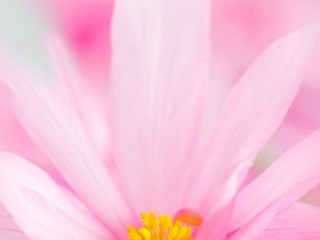 1146535_413820308724308_1491830505_n - copia