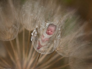 11741165_705223956250546_9047401319540214753_o