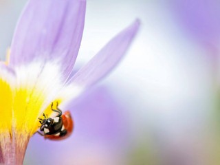 1273567_429349017171437_1190861833_o - copia