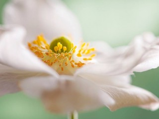 1294345_432624153510590_2098054986_o - copia