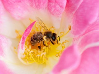 1380155_438029972970008_808549897_n - copia