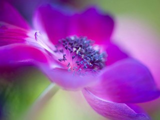 1400513_438772182895787_224178688_o - copia