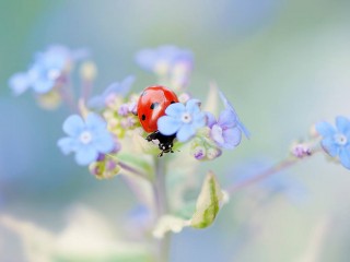 1401231_446528092120196_1509622954_o - copia