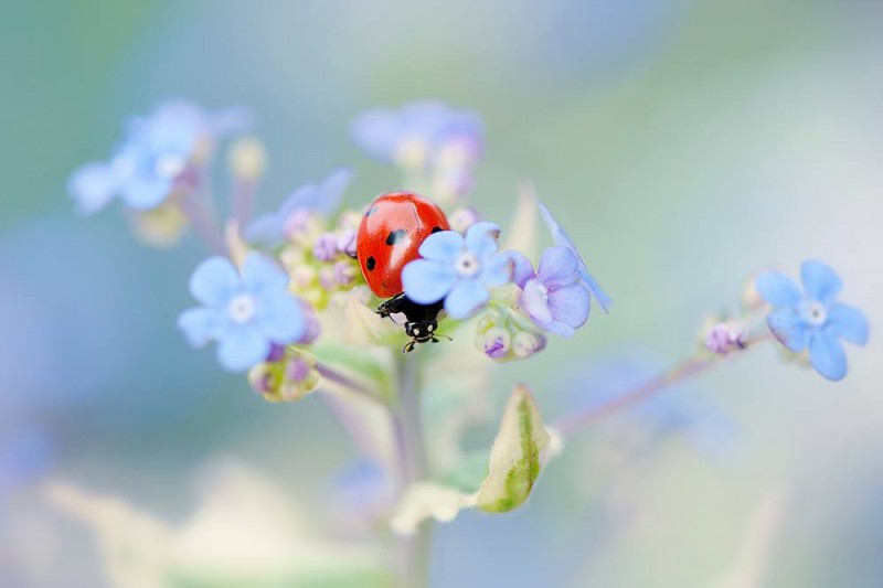 1401231_446528092120196_1509622954_o-copia