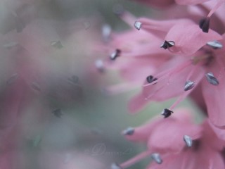 145448689a3a560af5bf263ad0e5d0c5