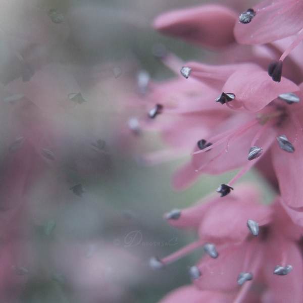 145448689a3a560af5bf263ad0e5d0c5