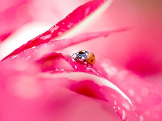 1465763_456105487829123_100051808_o - copia