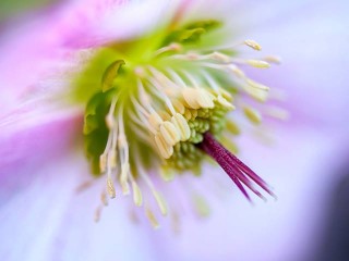 1505645_468021809970824_244525711_n - copia