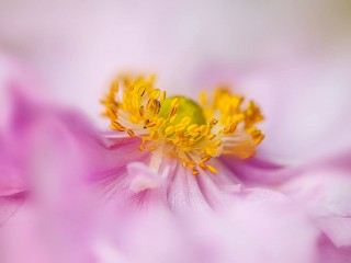 1548118_467576966681975_383319590_o - copia