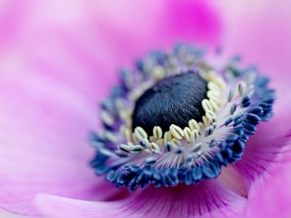 215486_351850164921323_915268415_n - copia - copia - copia