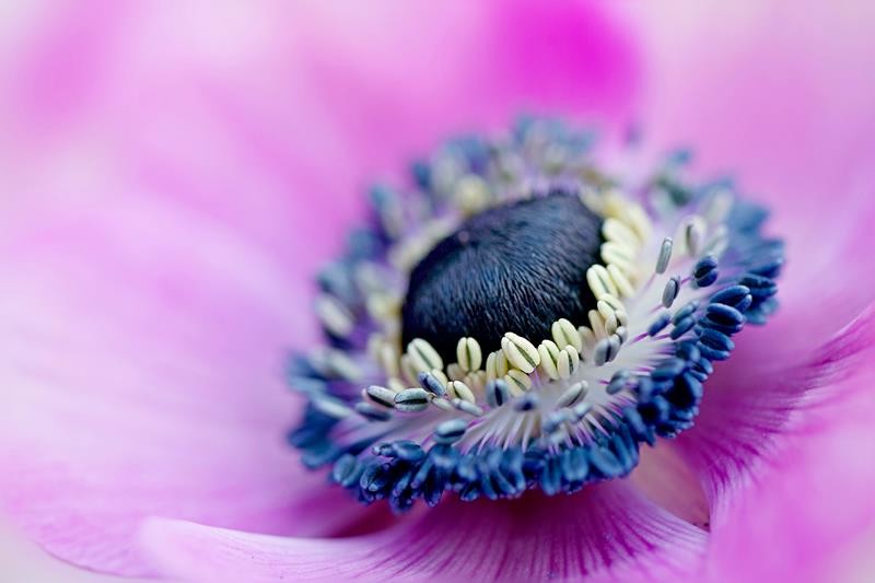 215486_351850164921323_915268415_n-copia-copia-copia