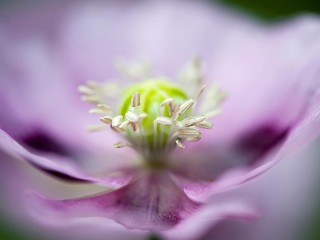 253712_361187187320954_2011442280_n - copia - copia - copia