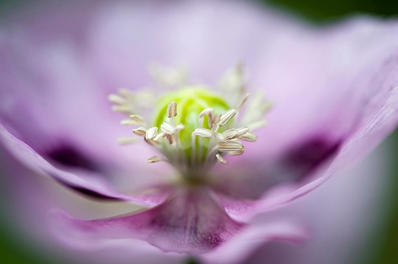 253712_361187187320954_2011442280_n-copia-copia-copia