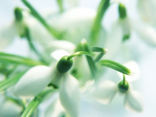 33181b9cb065bff5311bdf9147f5d488