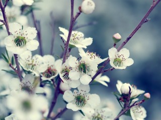 335836cd7353dc8ebc41cb042154257d