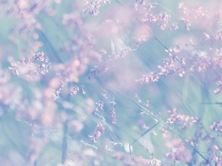 33f416fa70ca3692c0fb1ab5eed36370