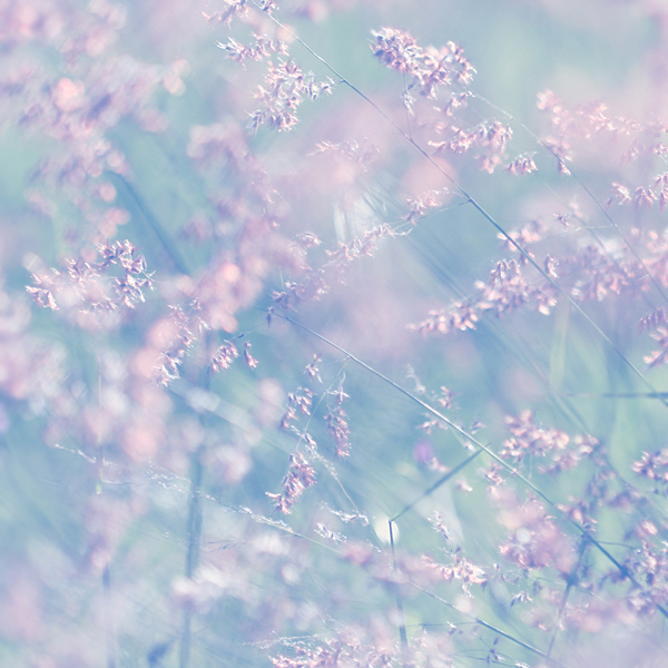 33f416fa70ca3692c0fb1ab5eed36370