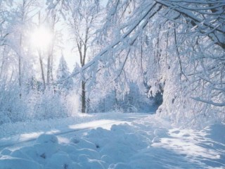 414d68031b575379bc18eae923a4ecd5 - copia