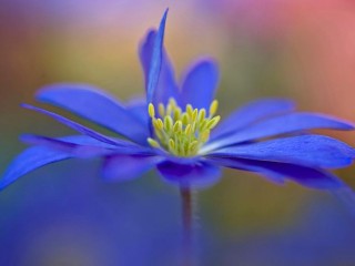 483711_357234104382929_1980555904_n - copia - copia - copia