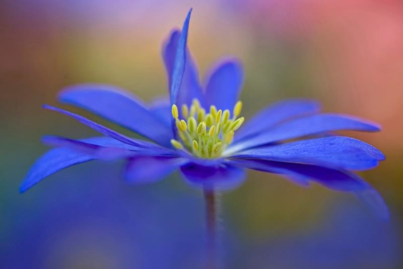 483711_357234104382929_1980555904_n-copia-copia-copia