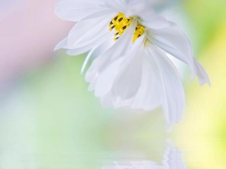 553306_361622390610767_264915178_n - copia - copia