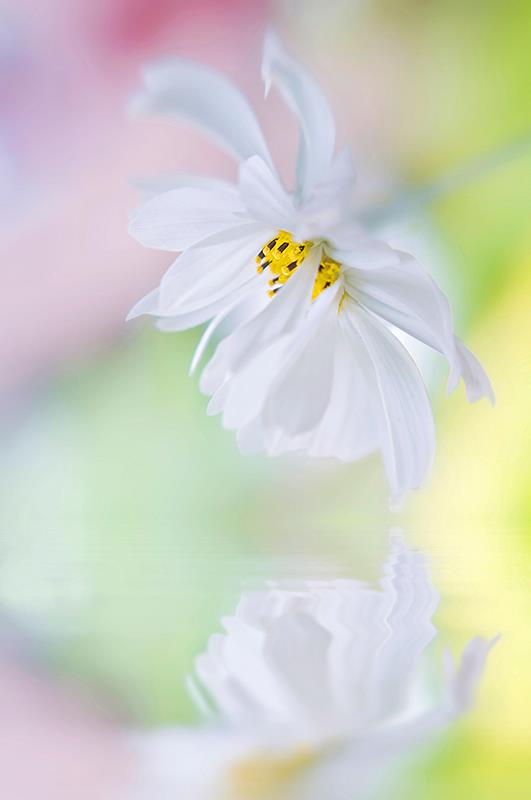 553306_361622390610767_264915178_n-copia-copia