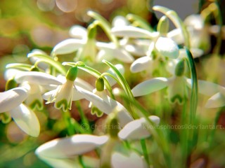 5e80892befd5e321f75df6ee9dacb5df