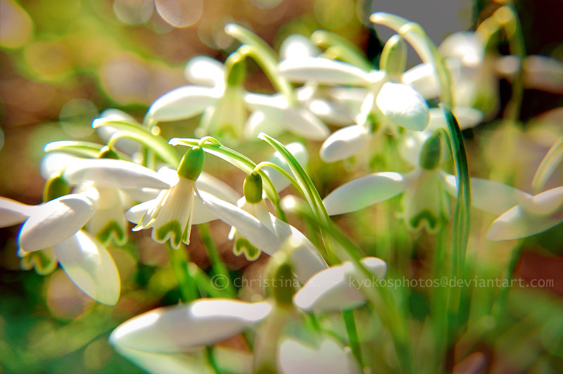 5e80892befd5e321f75df6ee9dacb5df