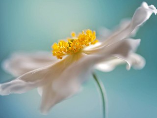 680310_431532973619708_1627117927_o - copia - copia - copia