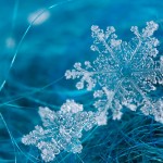 7041083-snowflake-wallpaper-backgrounds-copia