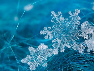 7041083-snowflake-wallpaper-backgrounds - copia