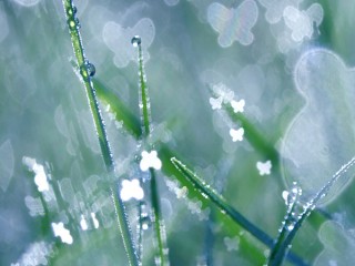 83ed5ce7d337614aee8a16fe15b5538f