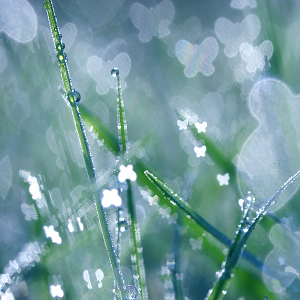 83ed5ce7d337614aee8a16fe15b5538f