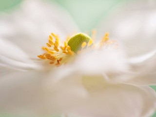 841139_430502177056121_1467726628_o - copia