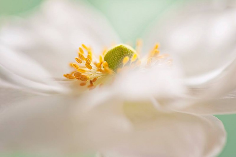 841139_430502177056121_1467726628_o-copia