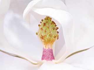 904305_369526513153688_1589348460_o - copia