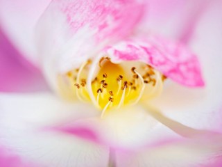 906905_462325257207146_1434142830_o - copia