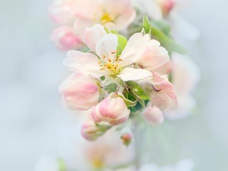 943680_377682689004737_517254237_n - copia