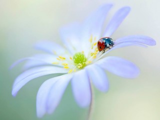 976479_435562969883375_1346688267_o - copia